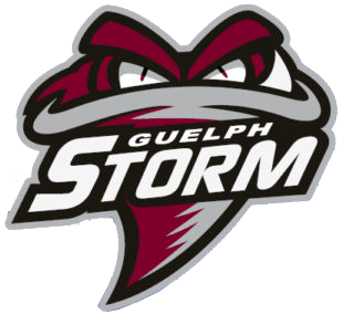 Guelph Storm 2018-Pres Alternate Logo iron on heat transfer